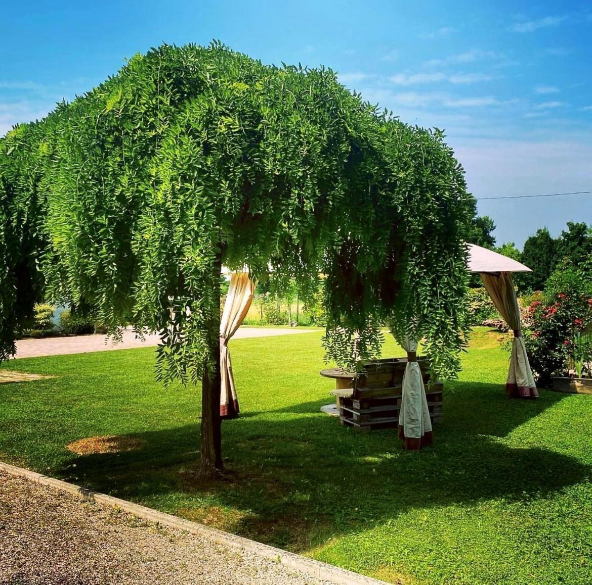 نوالي B&B Il Sentiero المظهر الخارجي الصورة
